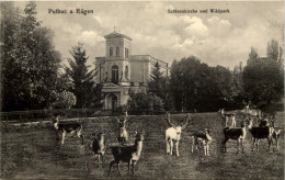 Delcampe - Putbus Auf Rügen, Schlosskirche Und Wildpark - Rügen