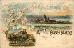 Delcampe - Gruss Von Der Baumblüte Werder Havel - Litho - Werder