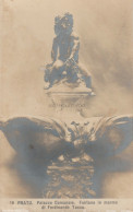 Delcampe - PRATO - Palazzo Comunale, Fontana In Marmo Di Ferdinando Tacca NPG Fotocartolina - Prato