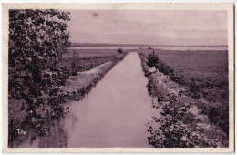 Delcampe - 40 - B16738CPA - BISCARROSSE - Canal Reliant Les étangs De Sanguin Et De Biscarrosse - Très Bon état - LANDES - Biscarrosse