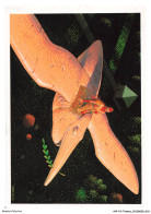 Delcampe - AYPP3-0177-SCOUTISME - 1920-1995 - 75 Ans Au Service De La Paix - Scouting