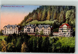 Delcampe - 8636 Wald ZH 1914 - Sanatorium - 39702492 - Wald