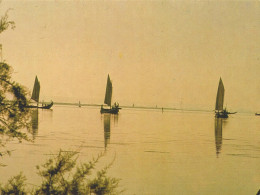 Delcampe - AVEIRO - Ria  (2 Scans) - Aveiro