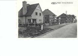 Delcampe - Zingem ;Steenweg Kruishoutem - Kruishoutem