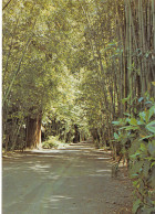 Delcampe - 30-ANDUZE-N°3815-B/0017 - Anduze