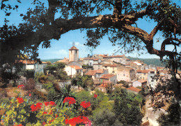 Delcampe - 83-RAMATUELLE-N°3815-B/0021 - Ramatuelle