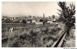 Delcampe - CAR-ACIP11-0648-83 - FREJUS - Vue Générale - Frejus