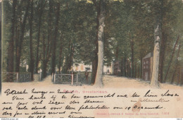 Delcampe - 4958 100 Assen, Drostenlaan. 1902. - Assen