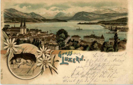 Delcampe - Gruss Aus Luzern - Litho - Luzern