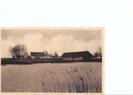 Delcampe - Assenede ; Hoeve Chys - Assenede