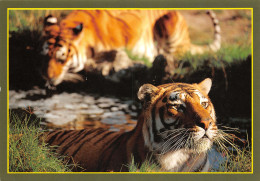 Delcampe - 72-LA FLECHE-N°T2661-D/0387 - La Fleche