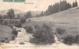 Delcampe - 88-XONRUPT-LA VOLOGNE-N°2165-B/0301 - Xonrupt Longemer