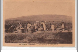 Delcampe - VERTUS : Les Vendanges - Très Bon état - Vertus