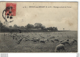 Delcampe - Epinay Sous Sénart - Epinay Sous Senart