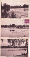 Delcampe - 91 - Essonne - VERT Le PETIT - Les Etangs - Lot 3 Cartes - Vert-le-Petit