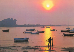 Delcampe - 29 PLOUDALMEZEAU LA GREVE DE L ILE CARN - Ploudalmézeau