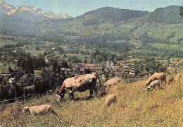 Delcampe - 38 THEYS VUE GENERALE ET CHAINE DE BELLEDONNE - Theys