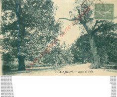 Delcampe - 77.  BARBIZON .  Route De Sully . - Barbizon