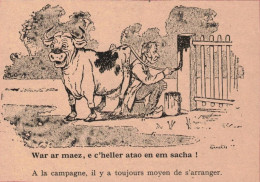 Delcampe - Benjamin Rabier. A La Campagne. Humour. Au Temps Où Les Bêtes Parlaient Breton. - Sammlungen