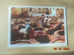 Delcampe - Fes. Les Teinturiers - Fez