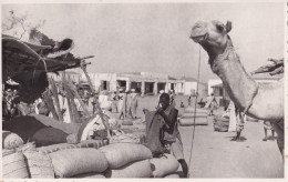Delcampe - Eritrea AGORDAT Market Scene , Camel Real Photo Postcard - Eritrea