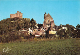 Delcampe - [-20%] FRANCE - Najac - Léglise - Château Féodal Du XIIIe Siècle - Ruine - Village - Champ - Maison Ancienne - Carte Pos - Najac