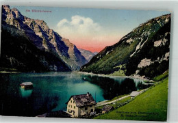 Delcampe - 8750 Klöntal 1917 Foto AK Gasthaus Zum Rhodannenberg Klänthalersee - 38068508 - Linthal