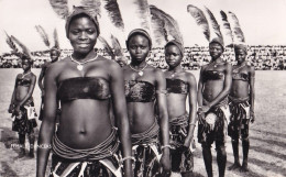 Delcampe - Nigeria - Dancers From East Nigeria, Photo By Jackie Phillips Lagos - Nigeria