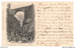Delcampe - ARGP15-0923-38 - GRANDE-CHARTREUSE - Le Pont Saint-bruno - Chartreuse