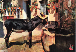 Delcampe - [-30%] ANIMAUX & FAUNE - Anes - Costa Del Sol - Escena En La Calle - Scène à La Rue - Carte Postale Ancienne - Esel