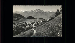 Delcampe - Leysin Dents Du Midi - Sonstige & Ohne Zuordnung