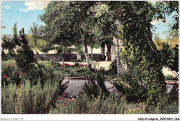 Delcampe - AEQP2-ALGERIE-0121 - AFLOU - Le Jardin Public - Oran