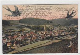 Delcampe - 39093348 - Bad Langenschwalbach. Vom Hoehberg Mit Schwalben Gelaufen, 1903. Gute Erhaltung. - Bad Schwalbach