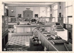 Delcampe - [-10%] BELGIQUE - Mons - Institut De Warocqué - Commerce - Musée Technologique Paul Pastur - Nels - Carte Postale - Mons