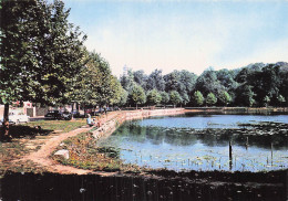 Delcampe - 92 CHAVILLE L ETANG DES URSINES - Chaville