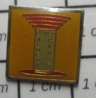 Delcampe - PIN713B  ECOLE ALBERT CAMUS - Administrations