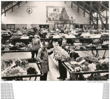 Delcampe - HOLLAND AALSMEER SALLE DES VENTES DE FLEURS - Aalsmeer