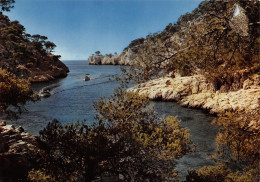 Delcampe - 13-CASSIS-N°T2741-D/0163 - Cassis
