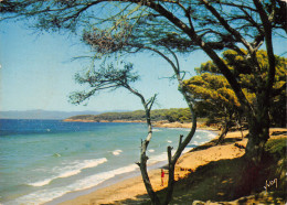 Delcampe - 83-PORQUEROLLES-N°T2741-C/0171 - Porquerolles