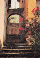 Delcampe - 26 DIEULEFIT VIEILLE RUE PITTORESQUE - Dieulefit