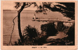 Delcampe - CPA Carte Postale  France  Erquy  Le Môle   VM102227ok - Erquy