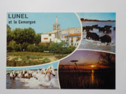Delcampe - LUNEL    "Porte De Camargue"   Multivues - Lunel