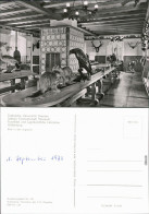 Delcampe - Grillenburg-Tharandt Technische Universität Dresden   Jagdsaal 1972 - Tharandt