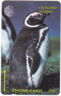 Delcampe - Falkland Islands  Phonecard - Magellanic Penguin - Fine Used 1CWFB - Islas Malvinas