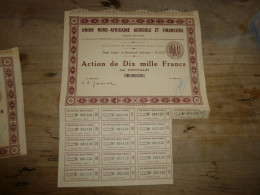 Delcampe - Union Nord Africaine Agricole Et Financiere , Ation De 10000f , Alger   ................ ACT-38 ...... Pièce-1 - Agriculture