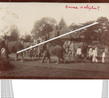 Delcampe - V06Ve  Photo Indochine Cambodge Phnom Penh Course D'éléphants En 1909 - Kambodscha