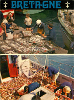 Delcampe - RETOUR DE PECHE BRETAGNE - Fischerei