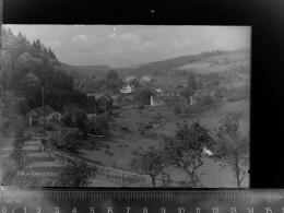 Delcampe - 30058601 - Daun - Daun