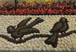 Delcampe - 50-COUTANCES-N°2799-C/0345 - Coutances