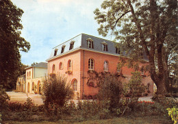 Delcampe - 41-LAMOTTE BEUVRON-N°2799-C/0229 - Lamotte Beuvron